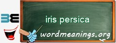 WordMeaning blackboard for iris persica